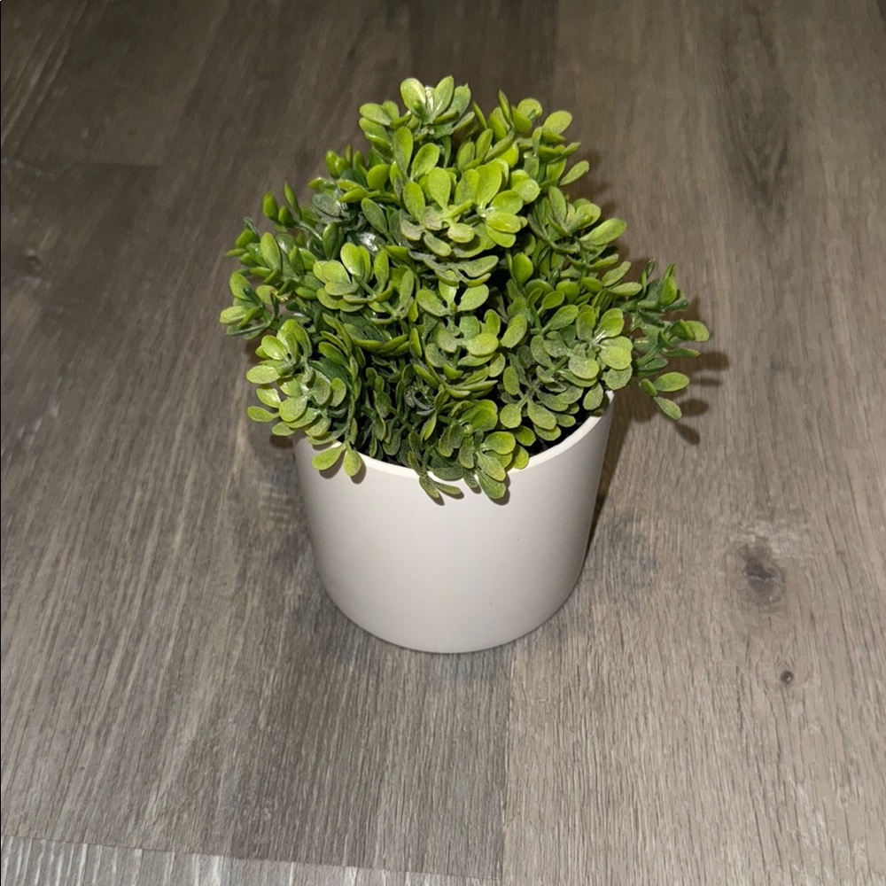 Artificial Green Plant in White Pot